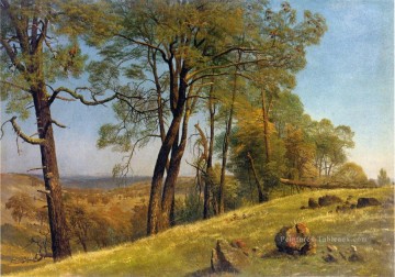  bierstadt - Paysage Comté de Rockland Californie Albert Bierstadt